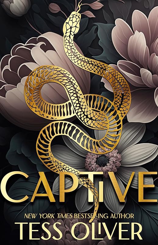 Captive (Lace Underground Trilogy Book 1)