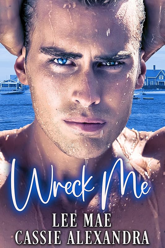 Wreck Me (High School Bully Romance)