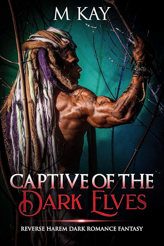 Captive of the Dark Elves: Reverse Harem Dark Romance Fantasy